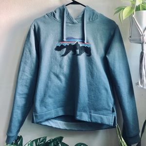 Patagonia Blue Hoodie Sweatshirt, Small